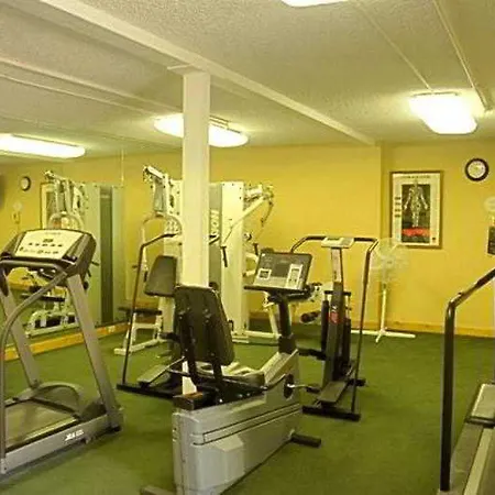 酒店 罗希达罗斯酒店