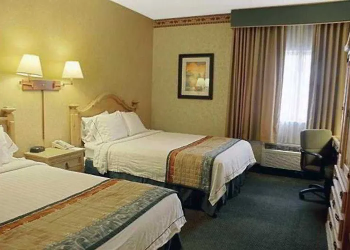 酒店 罗希达罗斯酒店 桑提亚纳德玛